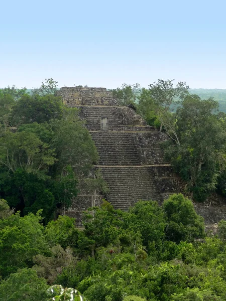 Tempel Vid Calakmul Majestätisk Arkeologisk Plats Den Mexikanska Staten Campeche — Stockfoto