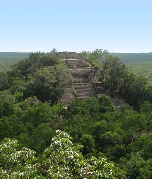 Templo Calakmul Sitio Arqueológico Maya Estado Mexicano Campeche —  Fotos de Stock