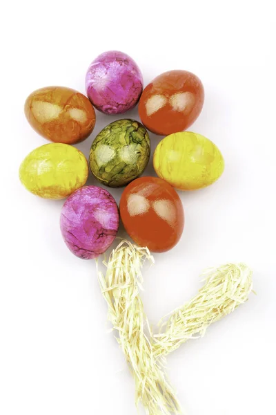 Барвиста Квітка Великодніх Яєць — стокове фото