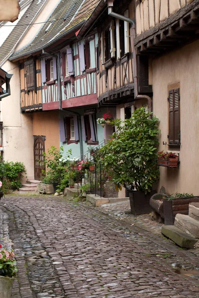 フランス アルザスの有名なワイン街道沿い ユーギスハイムの中世の家屋が軒を連ねている通り — ストック写真