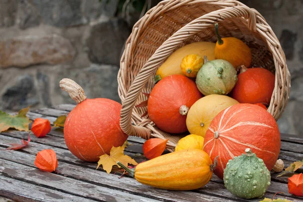 Panier Avec Des Devises Colorées — Photo