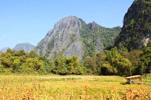 Vista Montanha Vang Vieng Laos — Fotografia de Stock