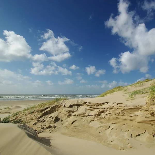 Paysage Dunaire Entre Schoorl Aan Zee Bergen Aan Zee Nord — Photo