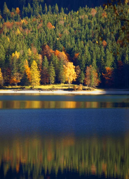 Costa Eibsee Parte Superior Baviera Alemanha — Fotografia de Stock