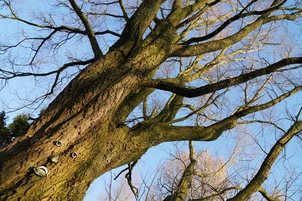 Malerischer Blick Auf Die Outdoor Szene — Stockfoto