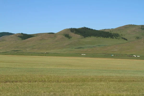 Landscapes Mongolian — Stock Photo, Image