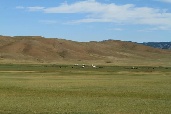 Khustain Mongolia Park Narodowy — Zdjęcie stockowe