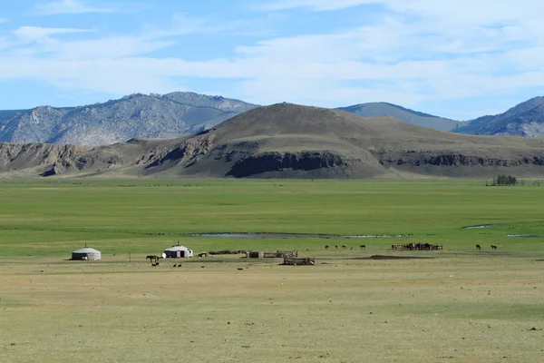 Khustain Mongolia国家公园 — 图库照片