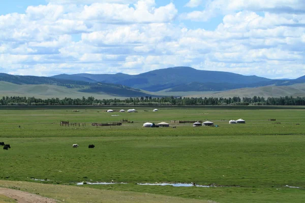 Khustain Mongolia国家公园 — 图库照片