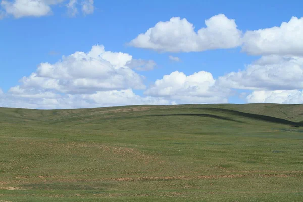 Parc National Khustain Mongolie — Photo