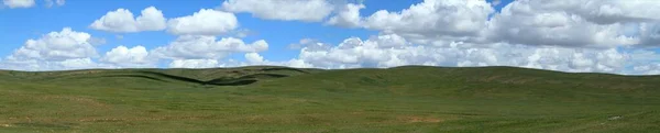 Khustain Nemzeti Park Mongólia — Stock Fotó