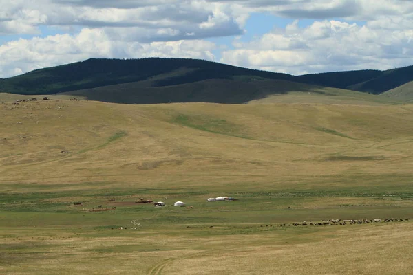 Khustain Nemzeti Park Mongólia — Stock Fotó