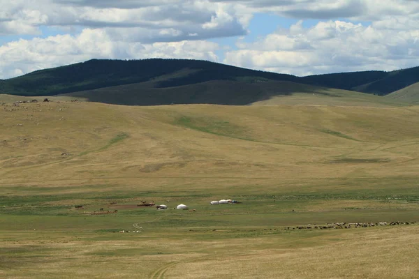 Khustain Národní Park Mongolsko — Stock fotografie