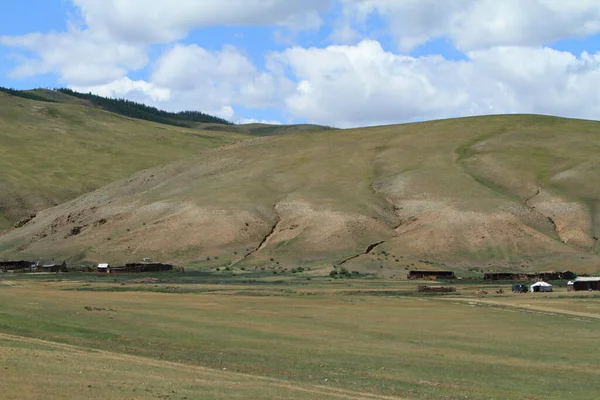 Parc National Khustain Mongolie — Photo