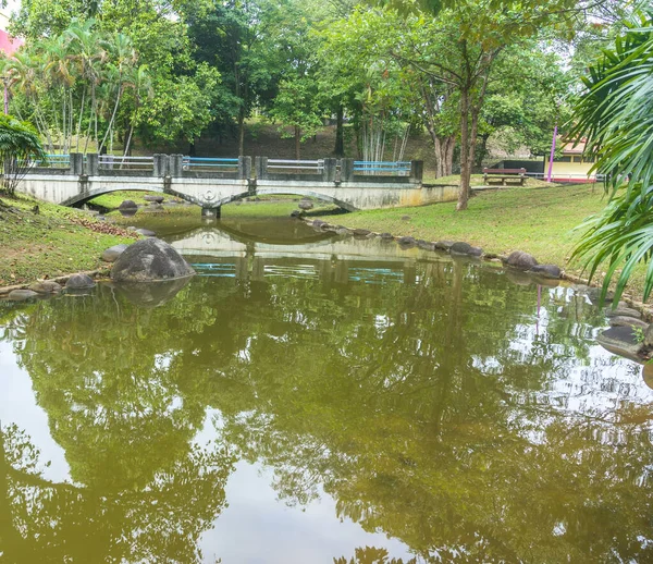 Stenbro Och Reflektion Stadsträdgården — Stockfoto