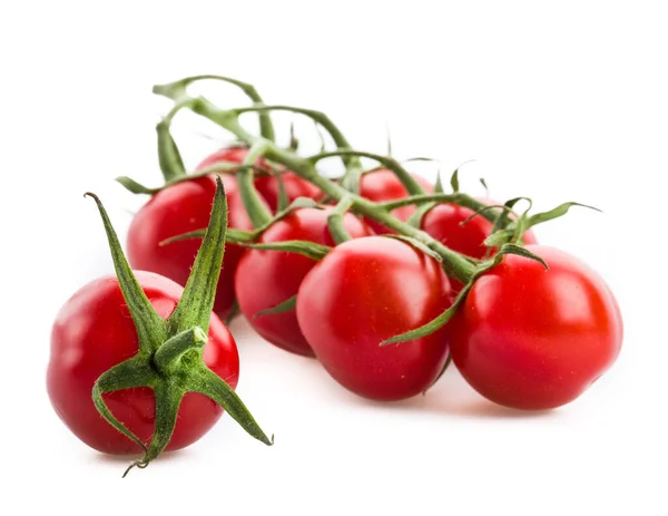 Pomidory Białym Tle — Zdjęcie stockowe