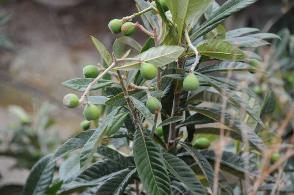 கடல — ஸ்டாக் புகைப்படம்