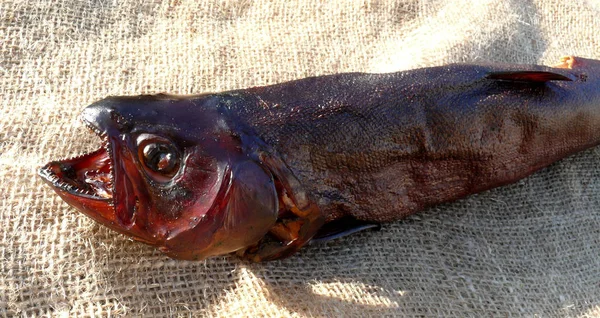 Peixe Cru Fresco Mercado — Fotografia de Stock