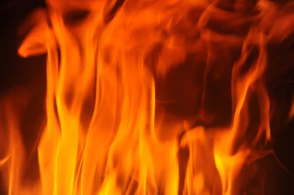 Sıcak Alev Yanan Kırmızı Ateş — Stok fotoğraf