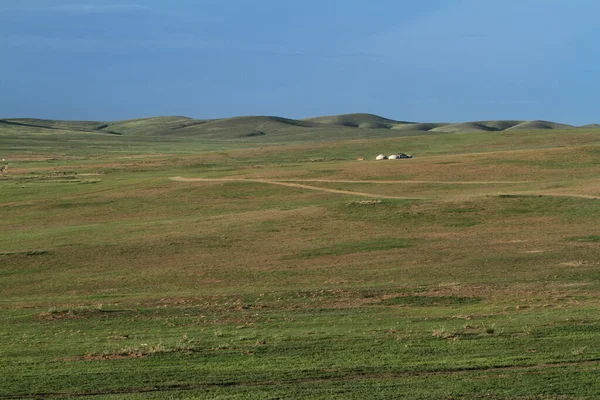 Nationaal Park Khustain Mongolia — Stockfoto