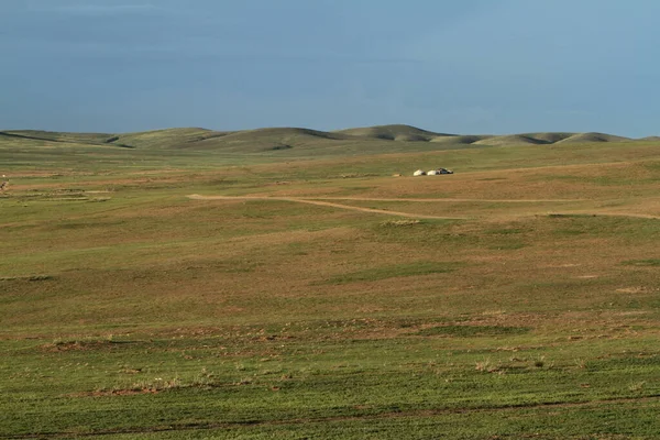 Khustain National Park Mongolia — Stock Photo, Image