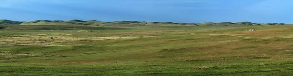 Khustain National Park Mongolia — Stock Photo, Image