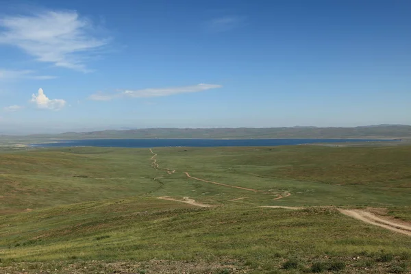 Národní Park Khustain Mongolsku — Stock fotografie