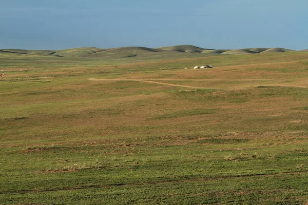 Khustain Parque Nacional Mongolia —  Fotos de Stock