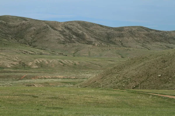 Khustain Park Narodowy Mongolii — Zdjęcie stockowe