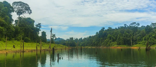 レイク ケニール マレーシアの熱帯雨林 — ストック写真