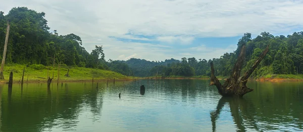 Floresta Tropical Lago Kenyir Malásia — Fotografia de Stock