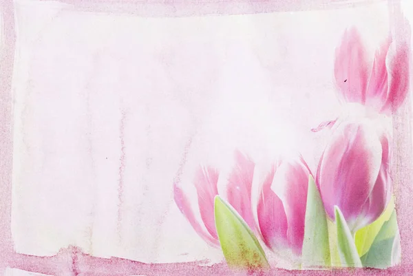 Red Tulips Grunge Painted Background — Stock Photo, Image