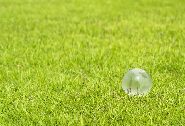 Glass Globe Grass Concept Environment Conservation — Stock Photo, Image