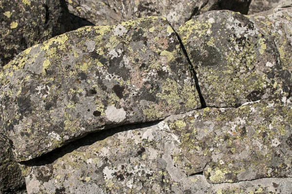 Παλιά Moraine Βράχους Βρύα Closeup Φόντο — Φωτογραφία Αρχείου