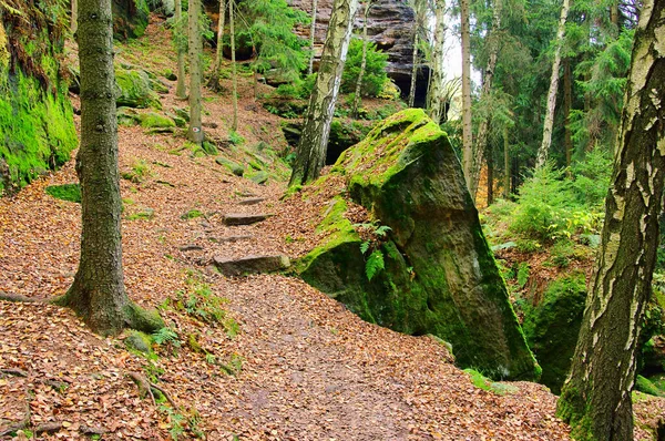 Homokkő Erdőben Homokkő Erdőben — Stock Fotó