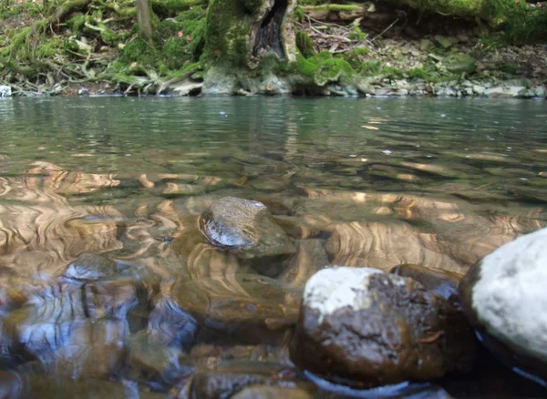 Cenário Idílico Baixo Ângulo Pequeno Rio Floresta Sul Alemanha Início — Fotografia de Stock