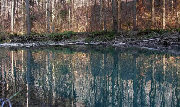Idyllische Flachland Landschaft Einem Kleinen Fluss Und Wald Süddeutschland Zum — Stockfoto