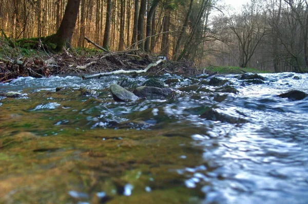 Idyllische Lage Hoek Landschap Een Kleine Rivier Bos Zuid Duitsland — Stockfoto