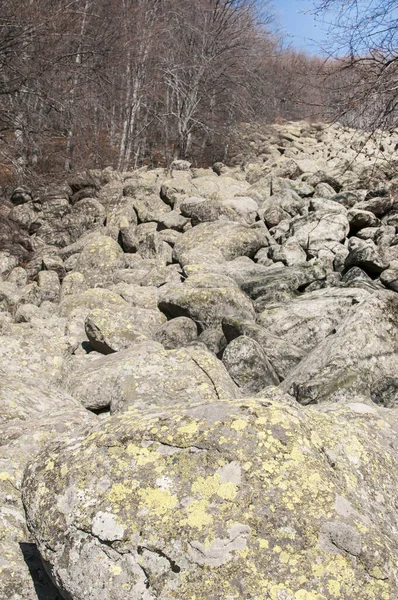 Viejo Morrena Rocas Con Musgo Invierno Día Soleado Paisaje —  Fotos de Stock