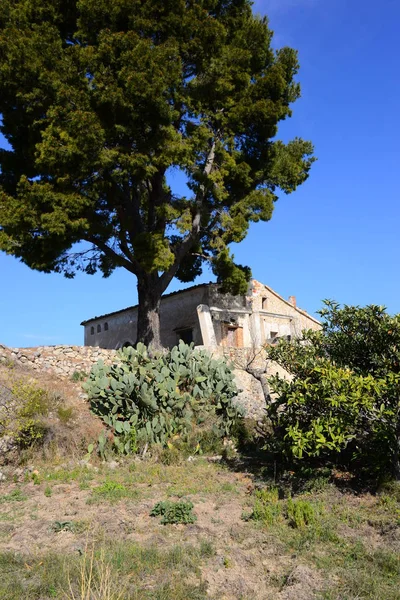 Velho Finca Espanha Alicante — Fotografia de Stock