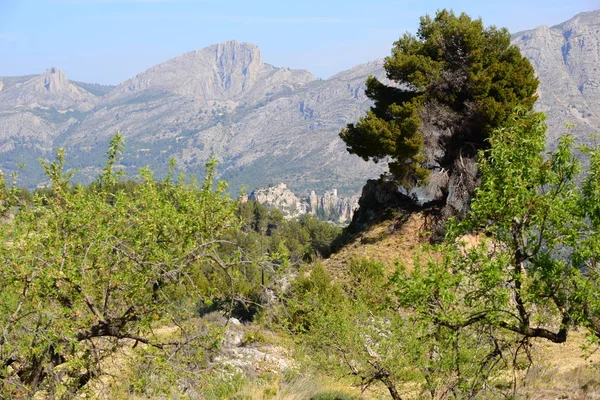 Rovine Guadalest Spagna — Foto Stock