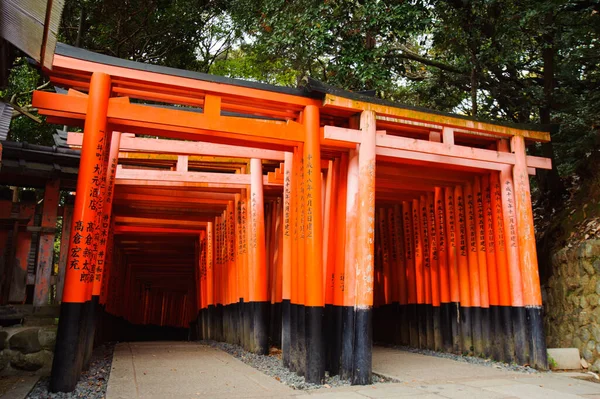 Belo Ano Novo Chinês — Fotografia de Stock