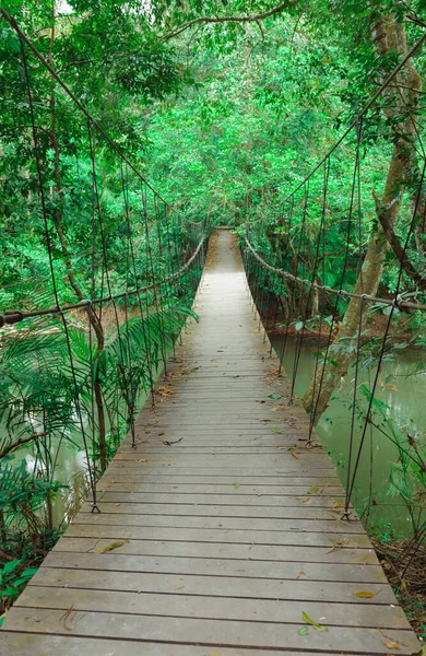 Naturaleza Arquitectura Estrechas —  Fotos de Stock