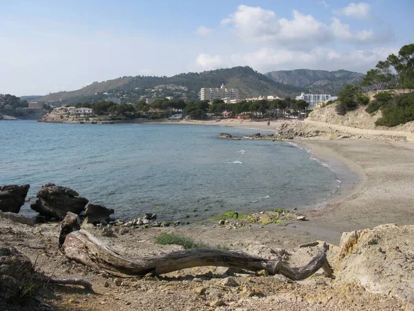 Mallorca Paguera附近的风景 — 图库照片