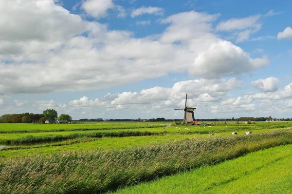 Krajobraz Wiatraków Alkmaar Północna Holandia — Zdjęcie stockowe