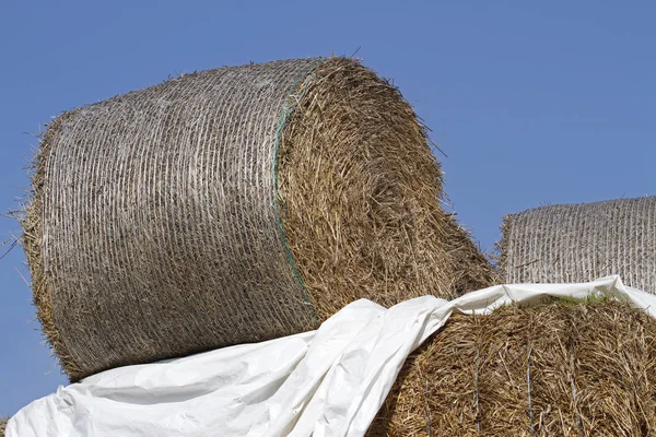 Aussichtsreicher Blick Auf Die Landwirtschaft Auf Dem Land — Stockfoto