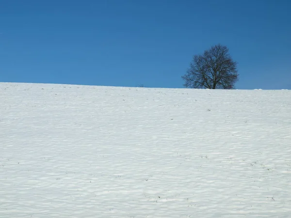Winter Wit Blauw — Stockfoto