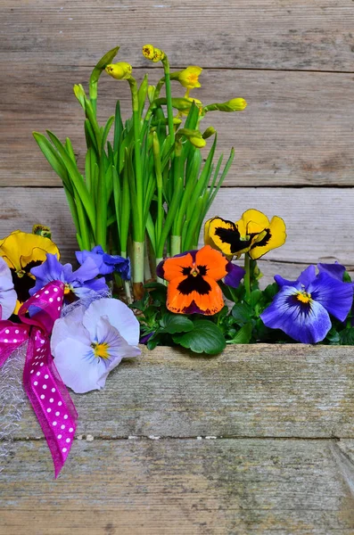 Spring Flowers Wood Background — Stock Photo, Image