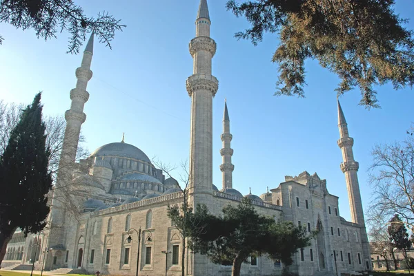 Мальовничий Вид Красиву Архітектуру Мечеті — стокове фото