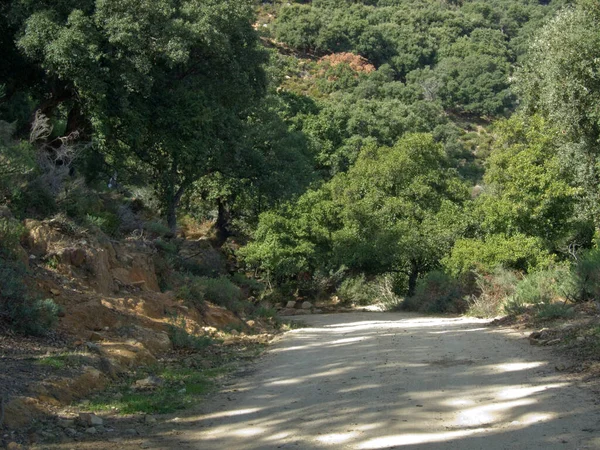 Rural Road Hills Spain — Stock Photo, Image